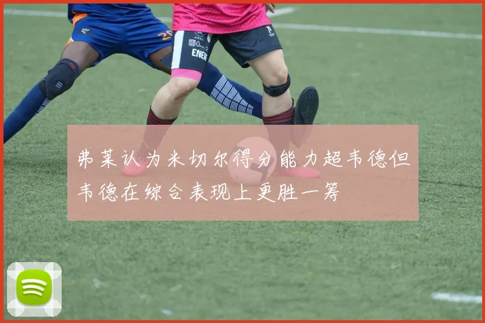 弗莱认为米切尔得分能力超韦德但韦德在综合表现上更胜一筹