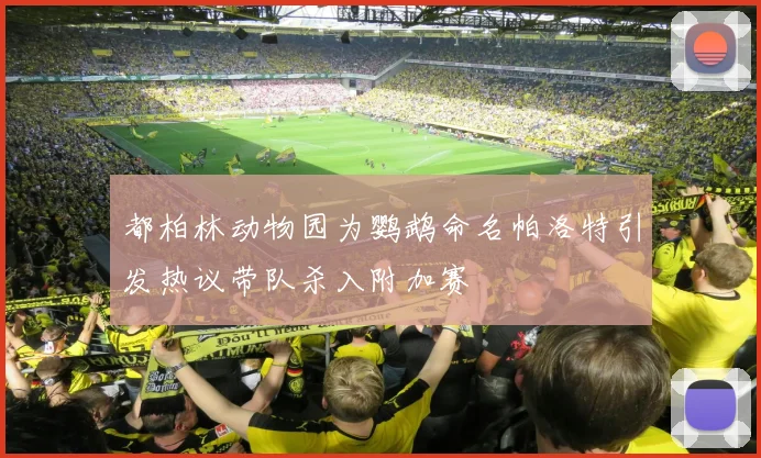 都柏林动物园为鹦鹉命名帕洛特引发热议带队杀入附加赛